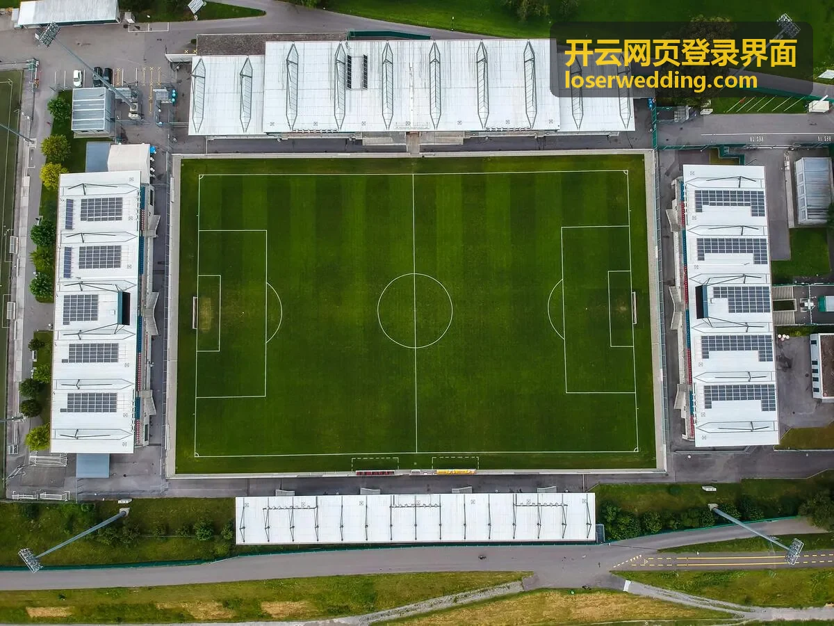 开云网页登录界面在手机端的登录入口界面示意