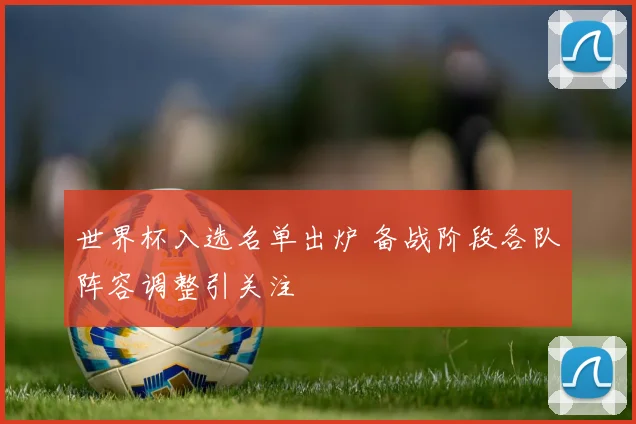 世界杯入选名单出炉 备战阶段各队阵容调整引关注