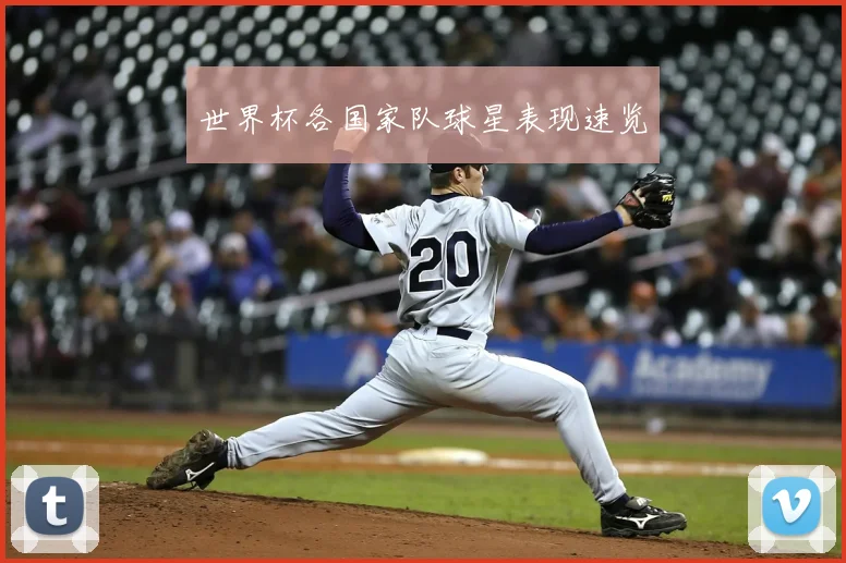 世界杯各国家队球星表现速览