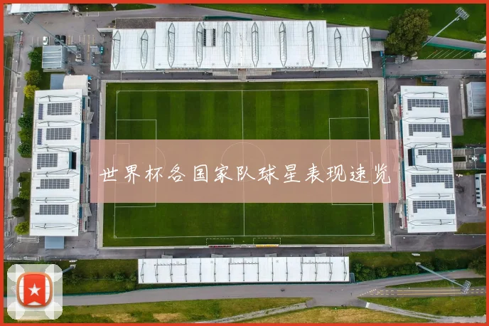 世界杯各国家队球星表现速览