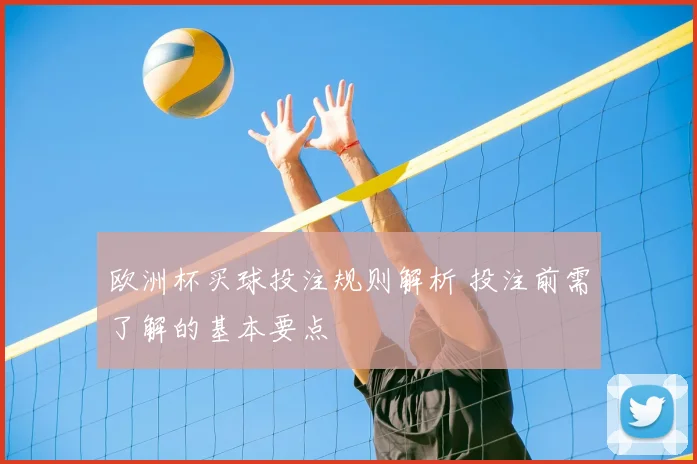 欧洲杯买球投注规则解析 投注前需了解的基本要点